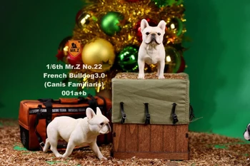 2 kom/set 1/6 FD002 francoski Buldog 3.0 Canis Familiaris Črna Žival Pes Model F Zbirka 6 barvah za 1/6 dejanje slika