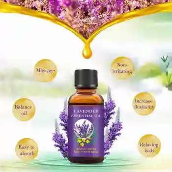 30 ml Sivke Čisto Eterično Olje za Telo za Nego Kože, Pure Naravne Rastline Cvetje Bistvo Masaža Telesa Spa Eterično Olje