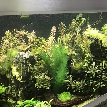 Akvarij Okraski Fish Tank Umetna Zelena Voda Rastline Iz Svilene Tkanine, Plastične, Nestrupen In Varen Za Vse Ribe In P