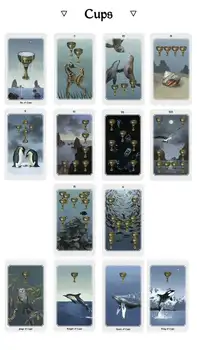 Anima Mundi Tarot Krova 78 kart s Guide Book Narave Krova Okultno Vedeževanje Tarot Kart Krova Stranka Igra družabne Igre