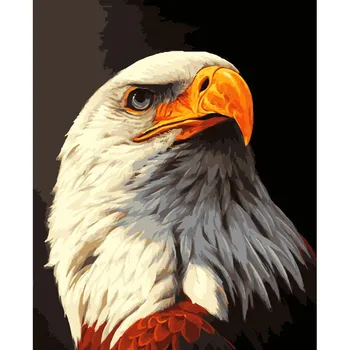 Barvanje Z Številkami DIY Dropshipping 40x50 50x65cm Eagle eye ostre Živali Platno Poročno Dekoracijo slikah Darilo