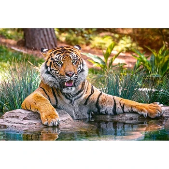 DIY Tiger 5D Diamond Slikarstvo Celoten Krog Vaja Cheetah Diamond Vezenje Navzkrižno Šiv Živali Nosorogovo Art Dekor Doma Darilo