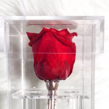 Jasno Akril Rose Cvet Polje Ličila Organizator Umetno Cvetlični Šopek Cvetlični Darilni embalaži Valentinovo Poroka Dekor