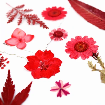 Naravni Pritisnete mešanica rdeče rože,Večno rose daisy listi za DIY Božično Darilo Kartico Poročno vabilo,Nail Art Obraza dekor