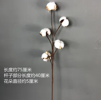 Novo Pampe Travo 5 Glavo DIY Posušene Naravno Cvetje Bombaž prave Rastline Doma Poročni Šopek, Dekoracijo Okraski Okraski