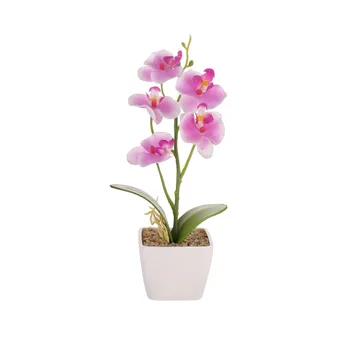 Pet Cvet Phalaenopsis Bonsaj Orhideja Poročni Vrt Doma Dekor Plantas Cvetje Artificiales Par Decoracion Svile