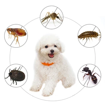 Silikonski Pet Ovratnik Proti Bolh Klopi Insektov Pes Ovratnik Varstvo Nepremočljiva Bolh, Označite Ovratnik za Pse, Mačke Anti-mosquit Ovratnice