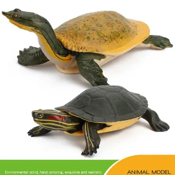 Simulirani Sladkovodne Želve Živali Model Slika Lutka Otroci Igrače Želva Brazilski Izobraževalne Okraski