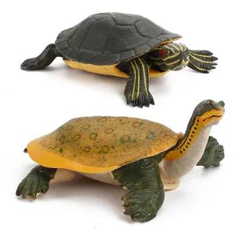 Simulirani Sladkovodne Želve Živali Model Slika Lutka Otroci Igrače Želva Brazilski Izobraževalne Okraski