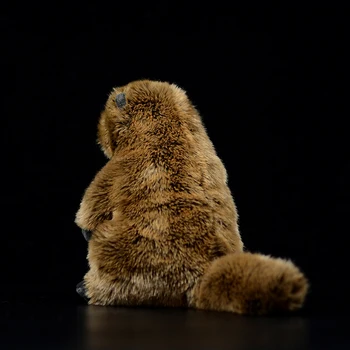 Srčkan Svizec Resničnem Življenju Plišastih Igrač Mehko Sciuridae Lutka Veren Živali Prairie Pes Plišaste Igrače Otroci Kawaii Božično Darilo Groundhog
