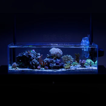 VIV Prekoračitev Sistem Preveč Poln Kozarec cevni Sistem za Aquarium Fish Tank