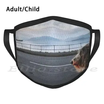 Če Pogledamo Na Trajekt Tiskalni Stroj Filter Smešno Masko Hound Hound Sliko Deerhound Wolfhound Shaggy Dog Deerhound Deerhound 1251